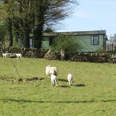 Barnkirk Holidays Villa Newton Stewart Exterior foto