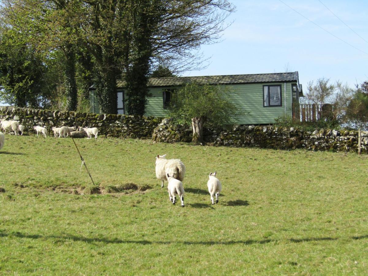 Barnkirk Holidays Villa Newton Stewart Exterior foto